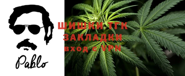 ешки Белокуриха