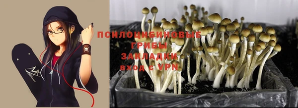 сатива Белоозёрский