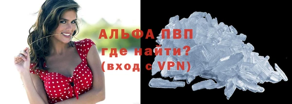 ешки Белокуриха