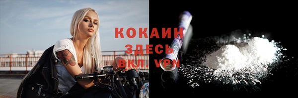 ешки Белокуриха