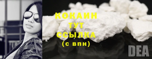 ешки Белокуриха