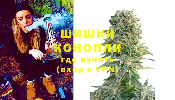 ешки Белокуриха