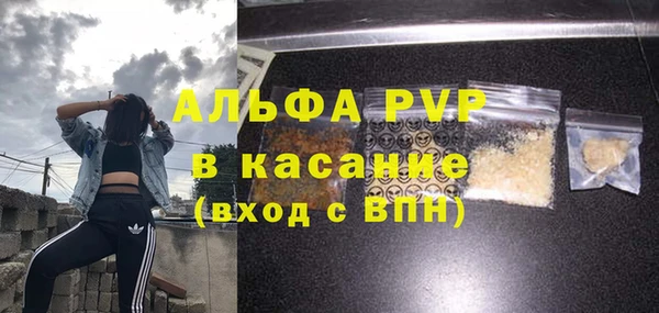 сатива Белоозёрский