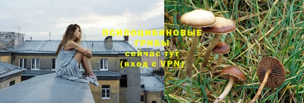 ешки Белокуриха