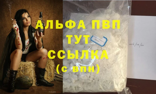 сатива Белоозёрский