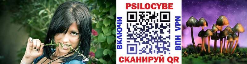 Псилоцибиновые грибы GOLDEN TEACHER  Богучар 